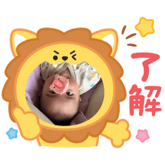 airi_20250409153604