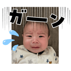 tomo_20250409151609