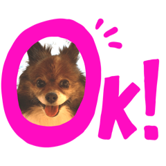 tanuki_20250409181353