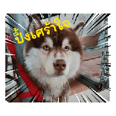 Ben_20250409181138