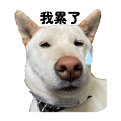 肆哈吉