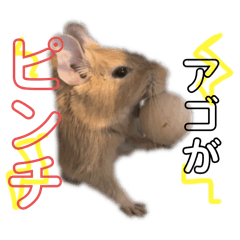 omamachan_20250409160536