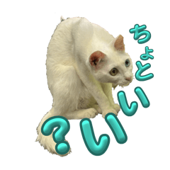 Neko_20250409193917