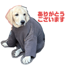 Sumire_20250409204856