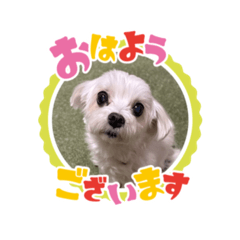 choco_20250409163450