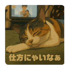 aym_20250409215842