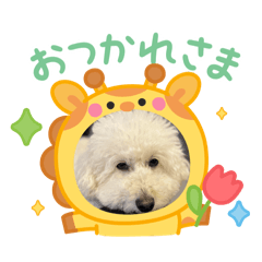 sato_202504