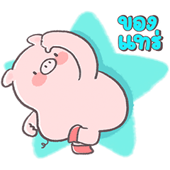 มู๋หมู ดุ๊กดิ๊ก