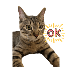 junjuwa_20250409235154