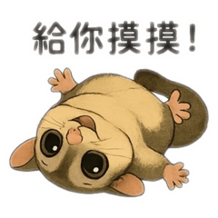 製作貼圖～