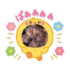 jill_20250409192902