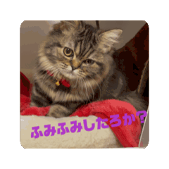 Ryu_20250409180244