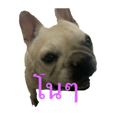 P_20250406142927