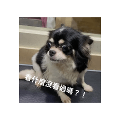 吉度不爽