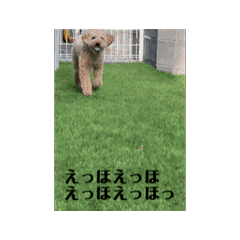 Y_20250410085852