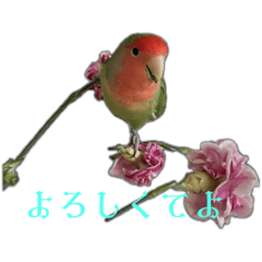 MJ_20250409202012