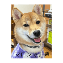 take_20250410000750