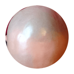 Nene_20250410003255