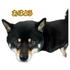 Ri_20250410004503
