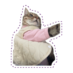 可愛卯