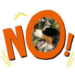 ik_20250409231047