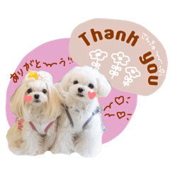 aoi_20250410065512