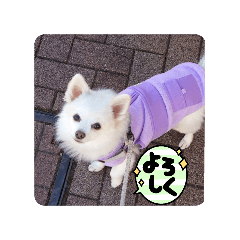 aki_20250408222711