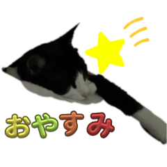 kana_20250410131008