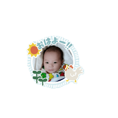 nori_20250410134637