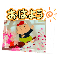 yokko_20250409085252