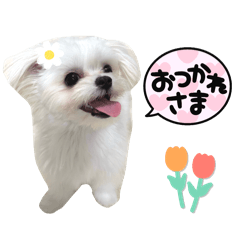 mi_20250410135836