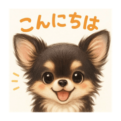 ayachan_20250409083124