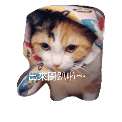 fuku DD