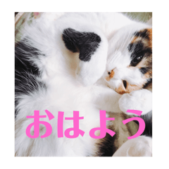 Ryo_20250410004620