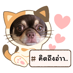 tookta_20250406203219