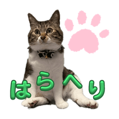ibuki-mika