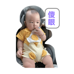 圓仔&暘暘
