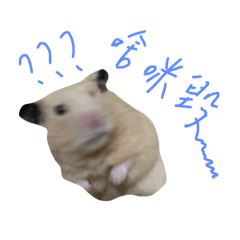 可愛我ㄉ鼠