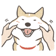 Shiba Inu (Shiba-Dog) stickers v3 tw_rev
