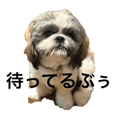 natsu_20250410143813