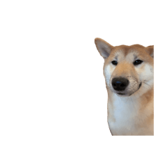 hima0813_20250410153233