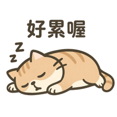 Taiwanese fat cat