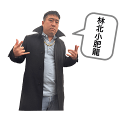 *東區小肥龍*