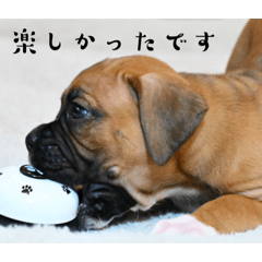 CHIHIRO_20250409224028