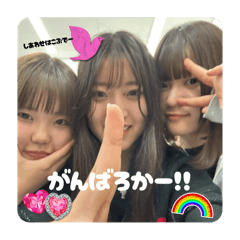 Triceratops_20250410160327