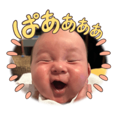 wakana_20250410173806
