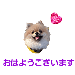 CHIE_20250410172558
