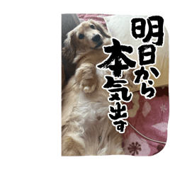 miho_20250410181602