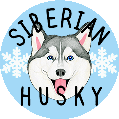 Siberian Husky motion sticker -Japanese