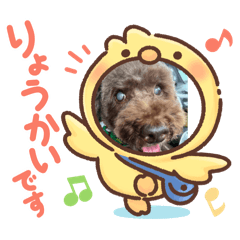 nori_20250410221808